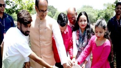 Plantation Tree : मुख्यमंत्री ने बादाम, गुलमोहर और पीपल के पौधे लगाए