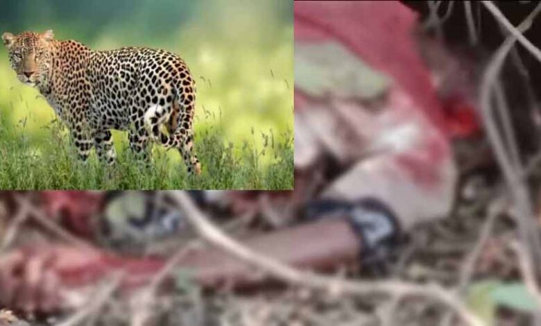 बजट में ई -वे बिल की लिमिट बढ़ाने और वेट में छूट की घोषणा पर छत्तीसगढ़ चैंबर ऑफ कॉमर्स ने मुख्यमंत्री साय के प्रति किया आभार प्रकट
