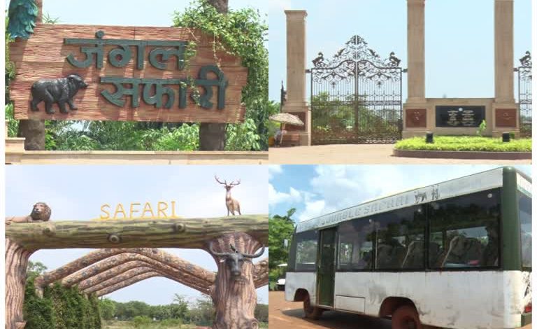 Jungle Safari Raipur: जंगल सफारी-नंदनवन जू घूमना हुआ महंगा, 50% तक बढ़े टिकट के दाम